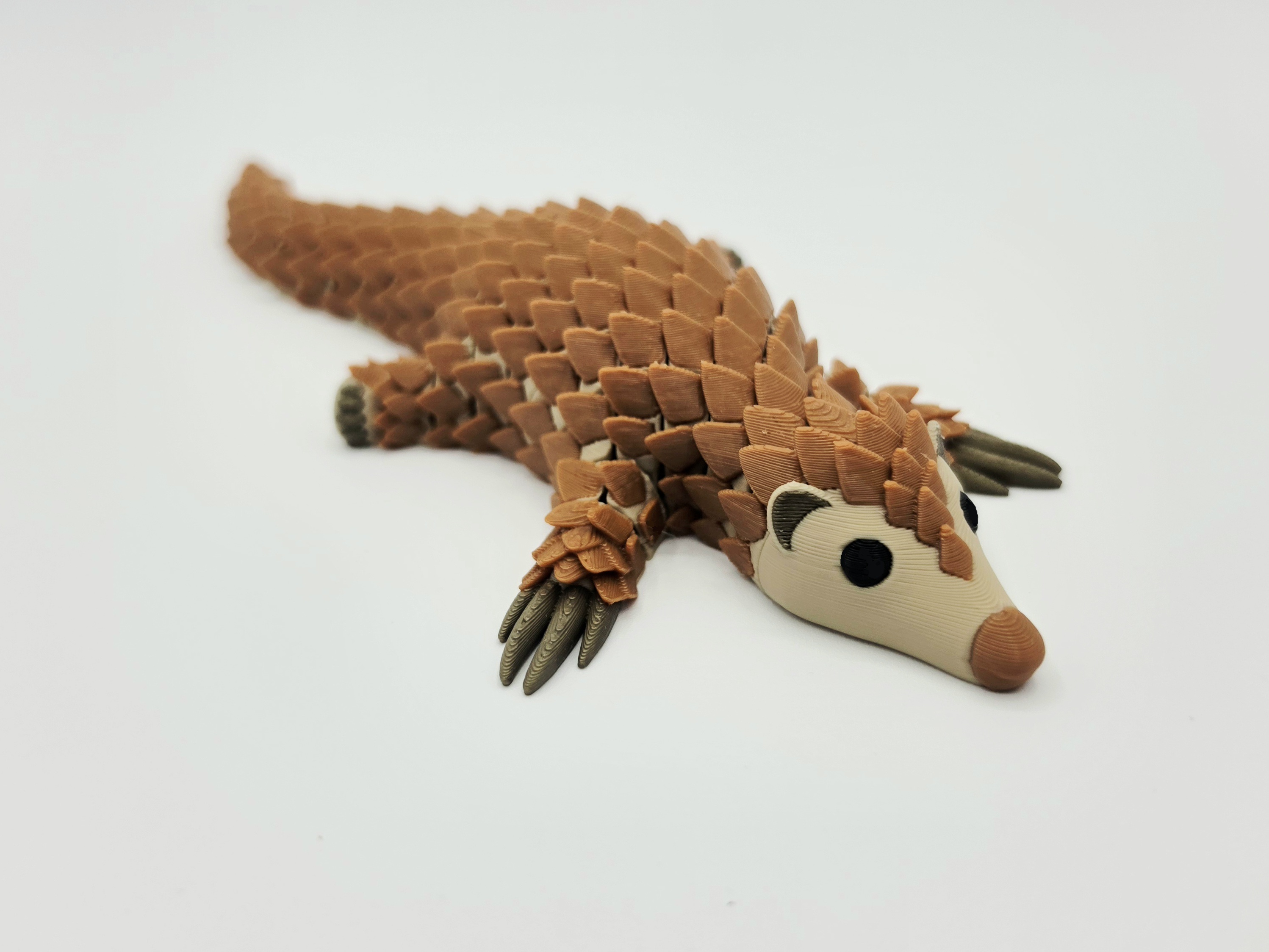 Pangolin