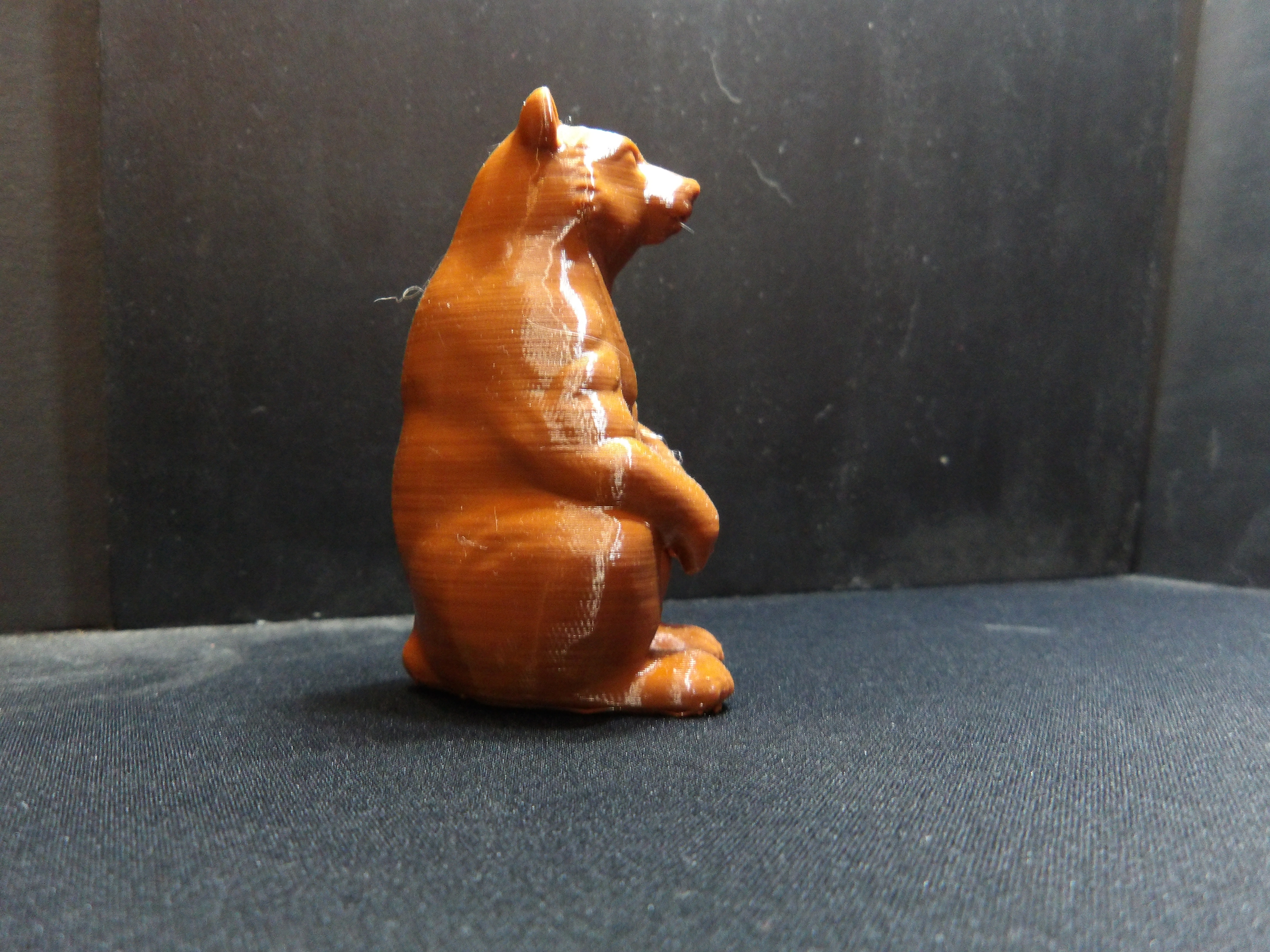 A Bear sitting up. — thumbnail 3