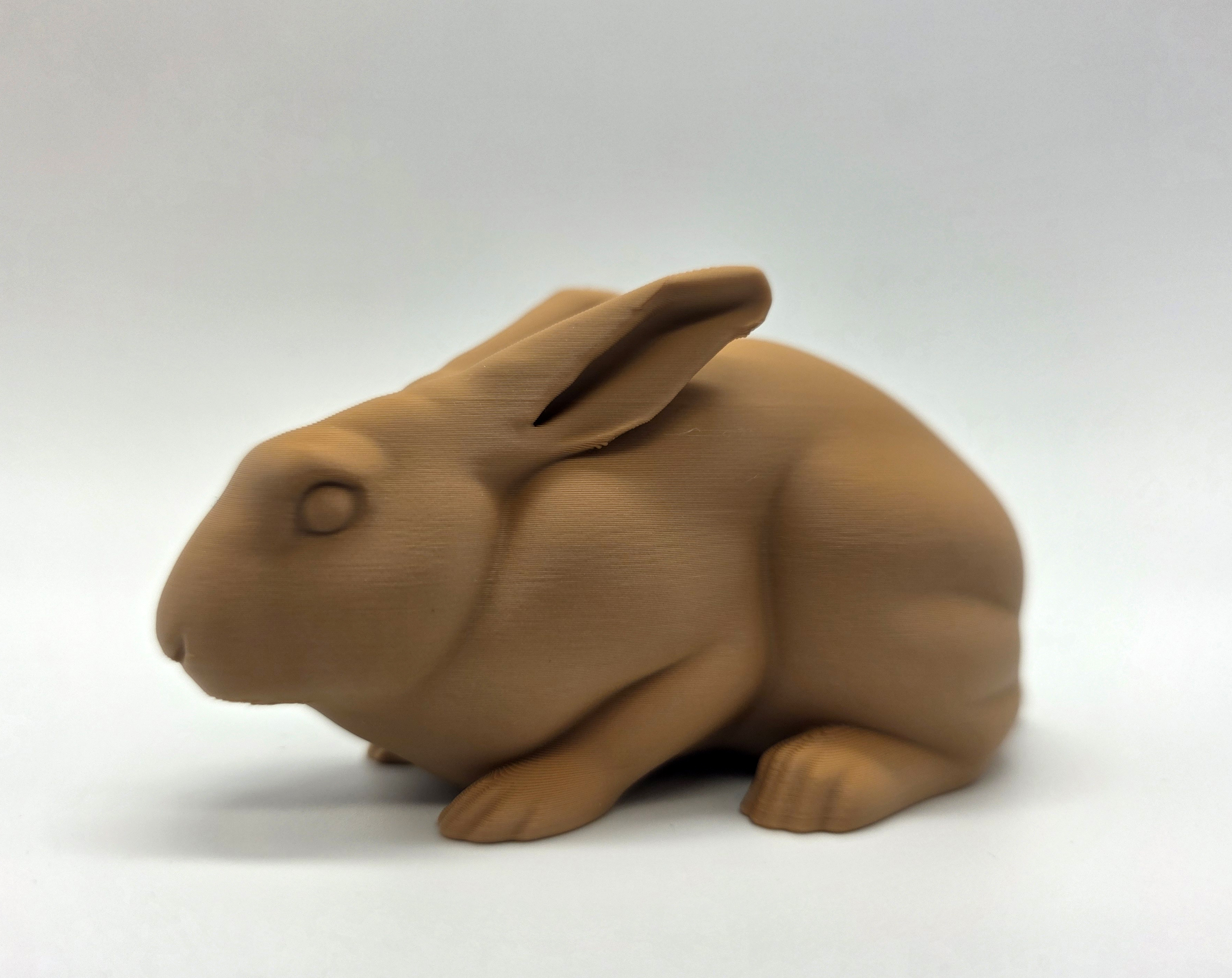 Alert Realistic Rabbit