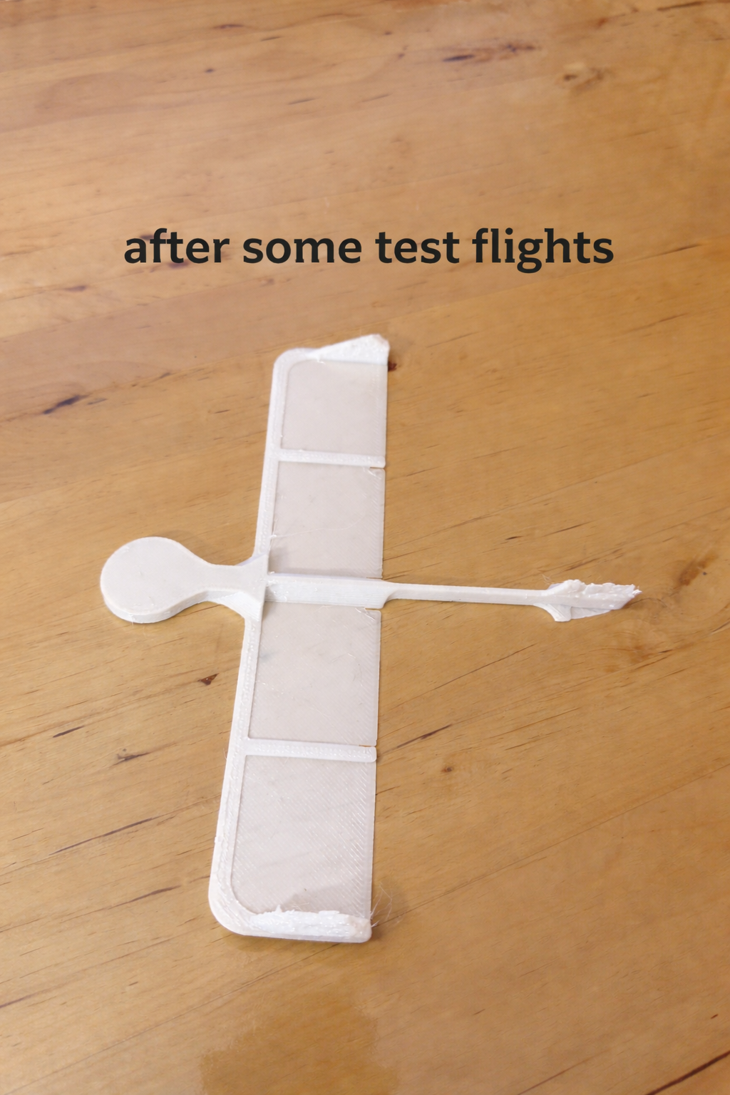 Flight Glider — thumbnail 3
