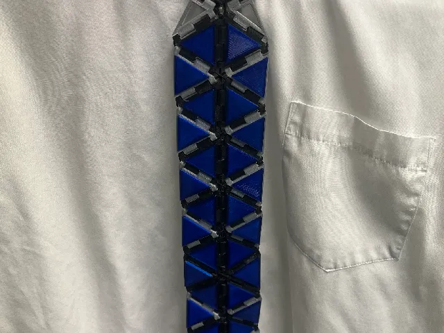 Modular Neck Tie