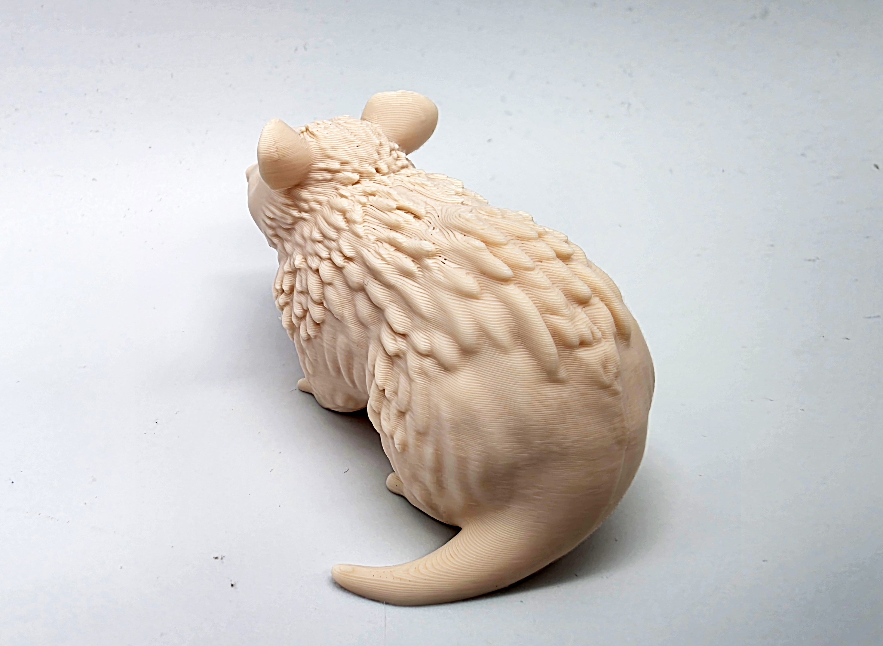 Miniatura 6 do modelo 3D Opossum