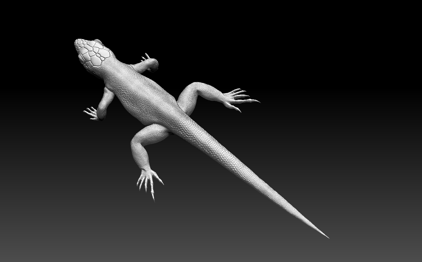 lizard — miniatura 10