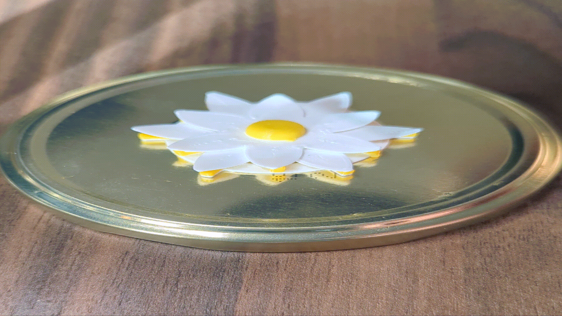 Magnetic daisy — miniatura 3