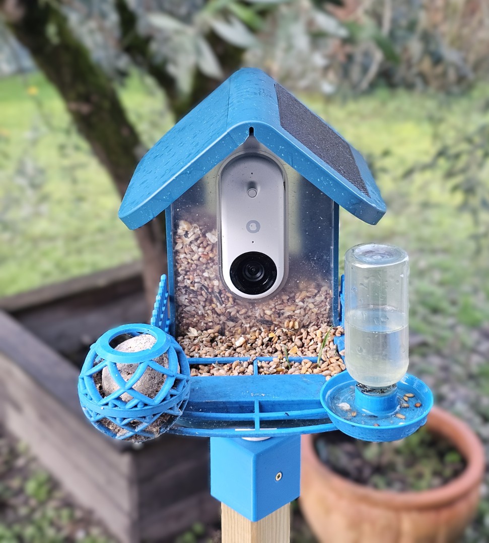 Bird Buddy Perch and fence