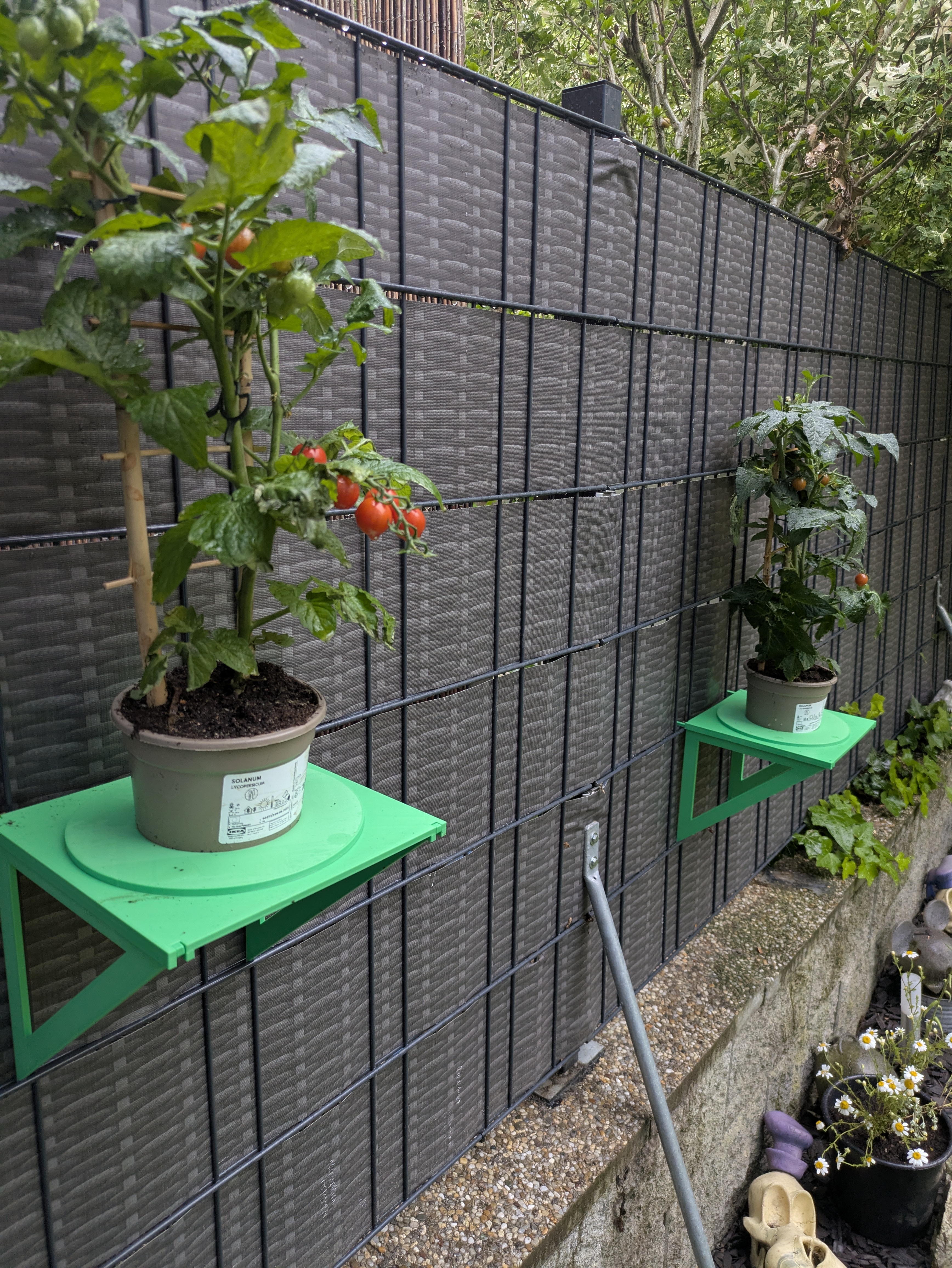 Fence - plant shelf / Wire mesh fences