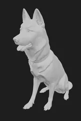 husky