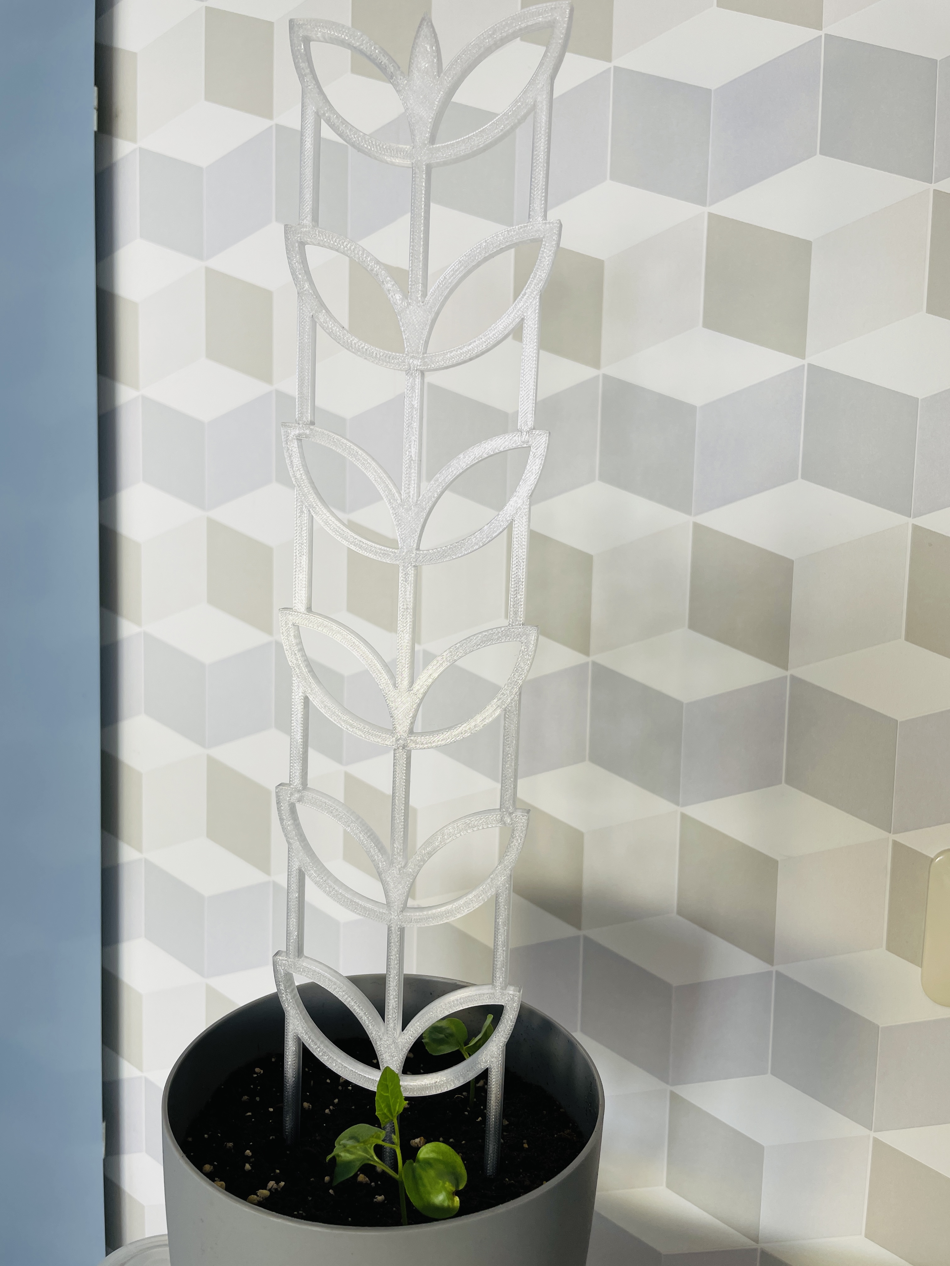 Modular Plant Support remix