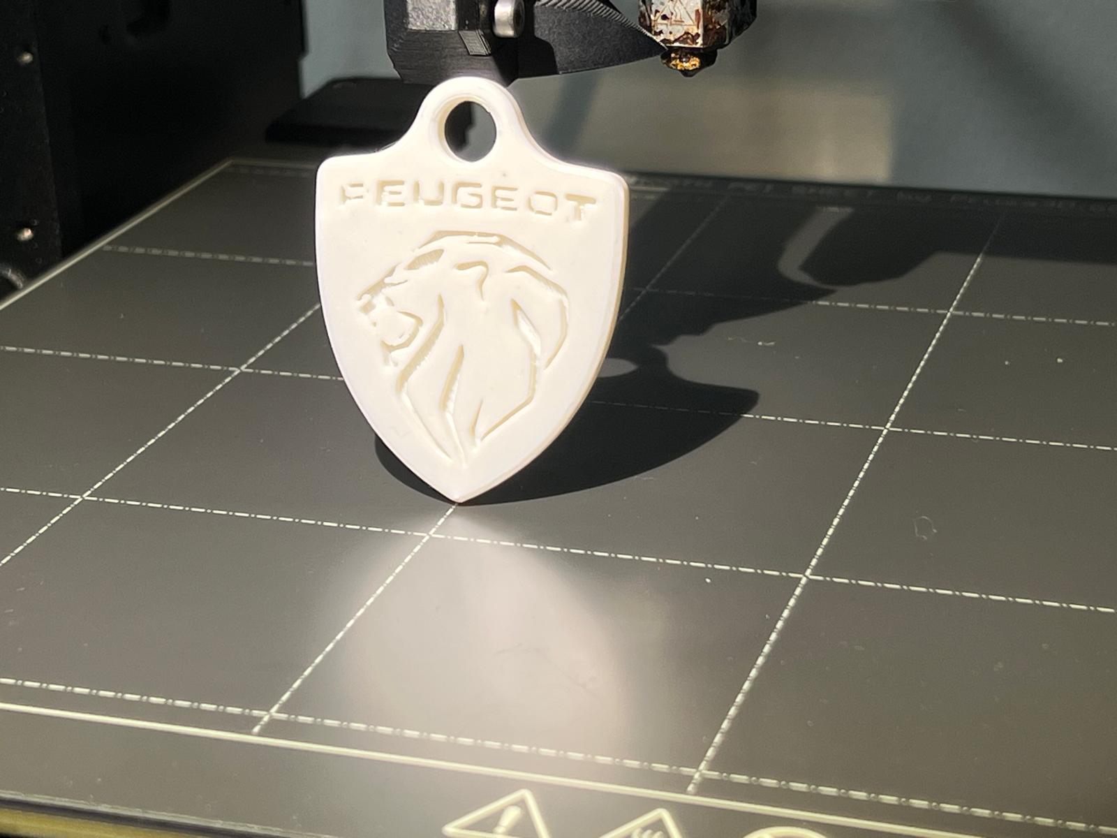 Peugeot  keychain