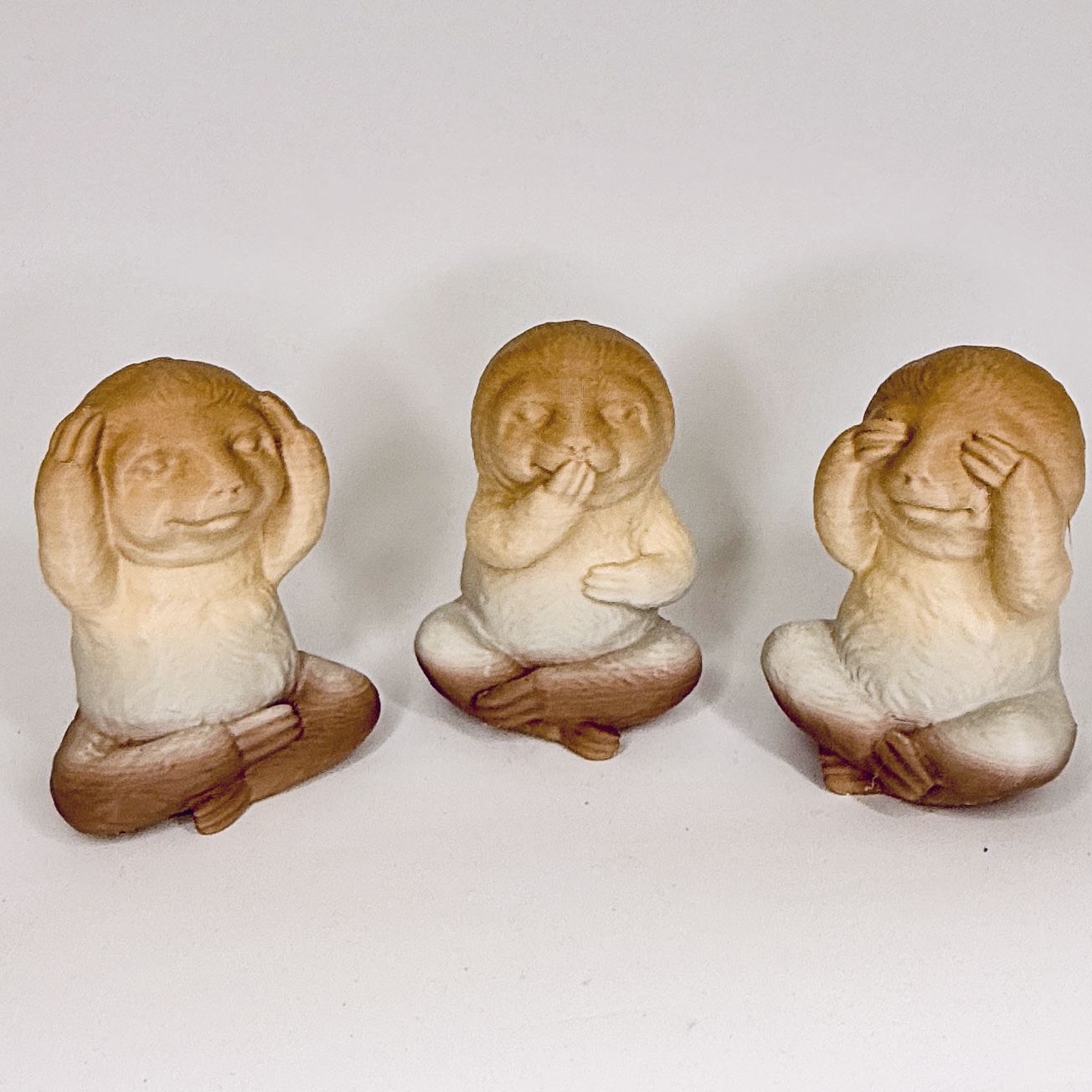 The wise Sloths