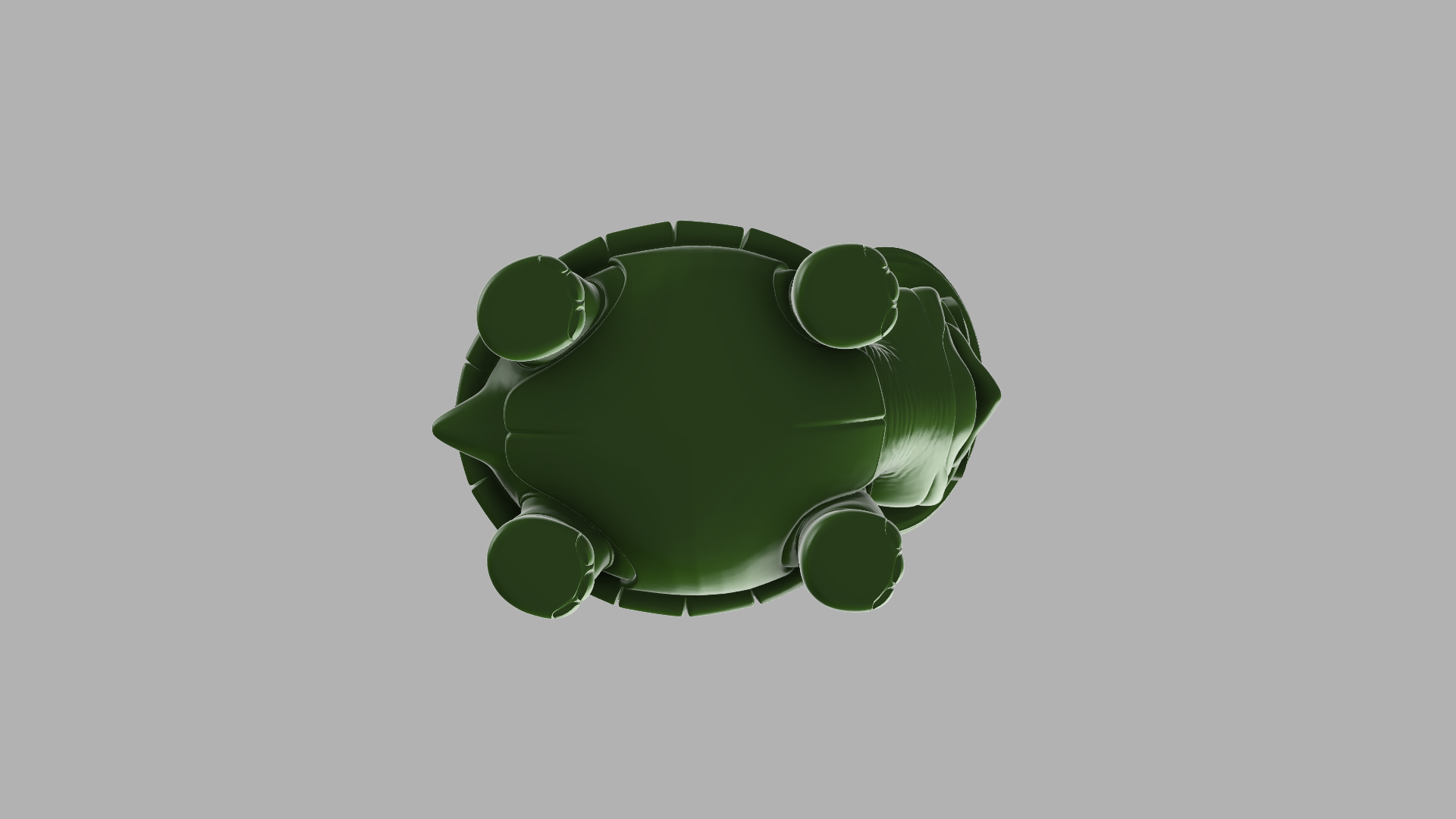 Epic Turtle — thumbnail 5