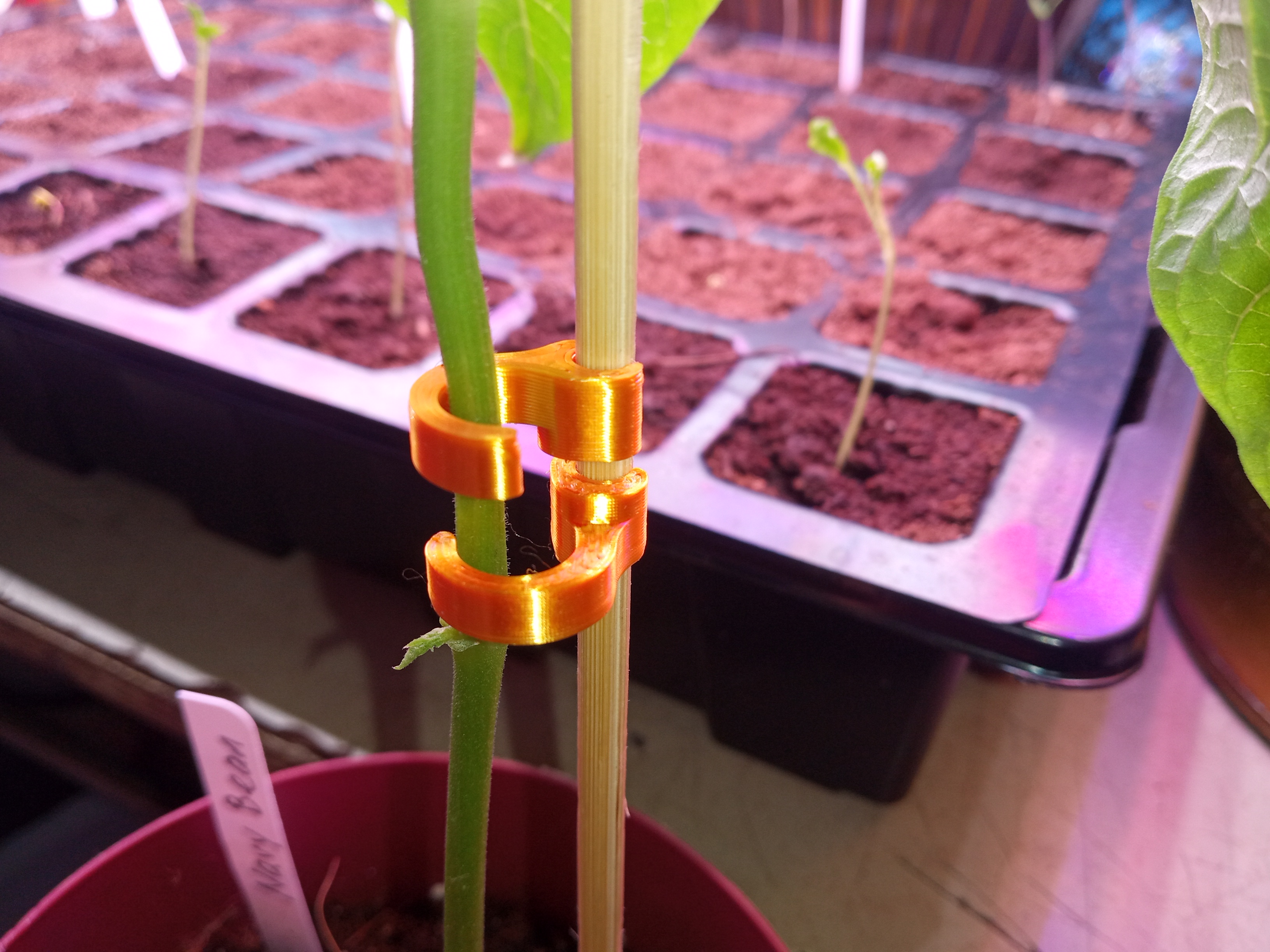 Plant Support Clips for 4mm Skewer Sticks