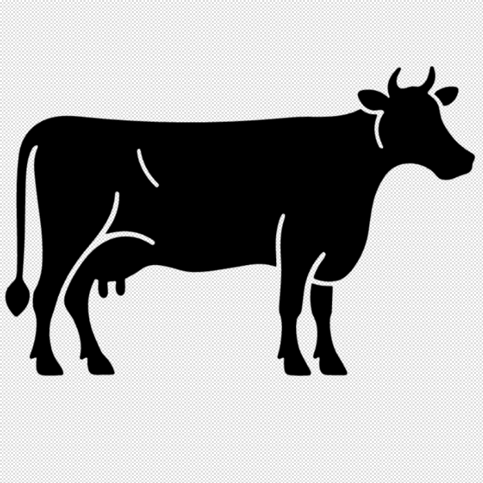 Cow decoration 2d v.1