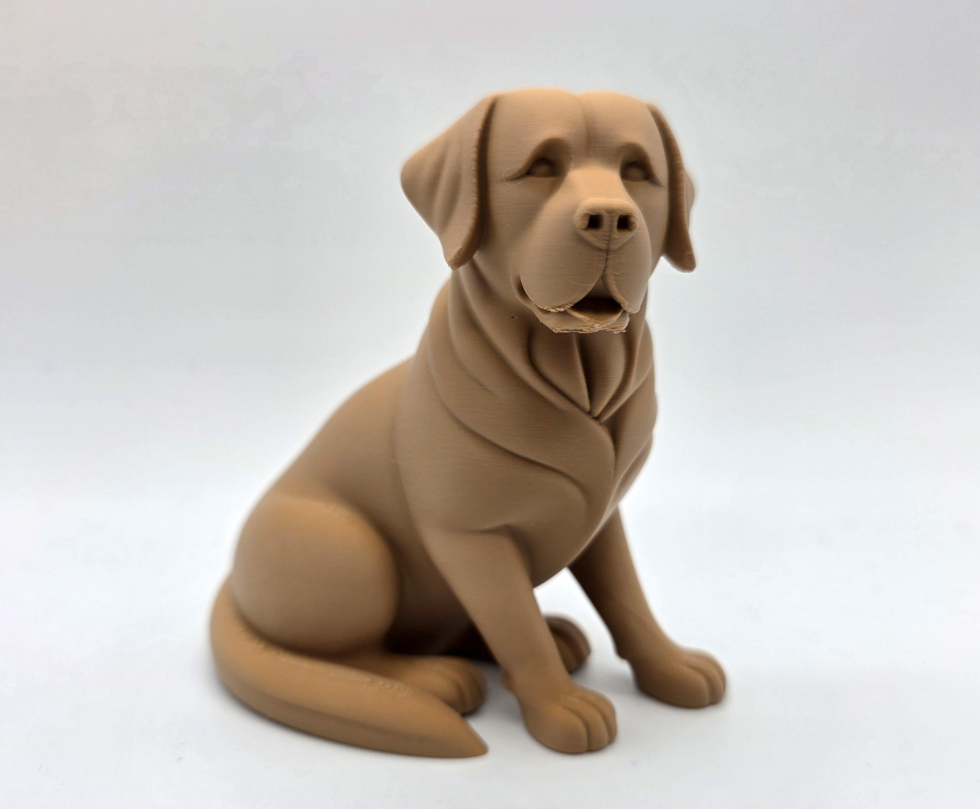 Seated Labrador Retriever Puppy