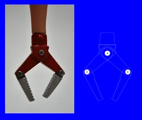 Image preview