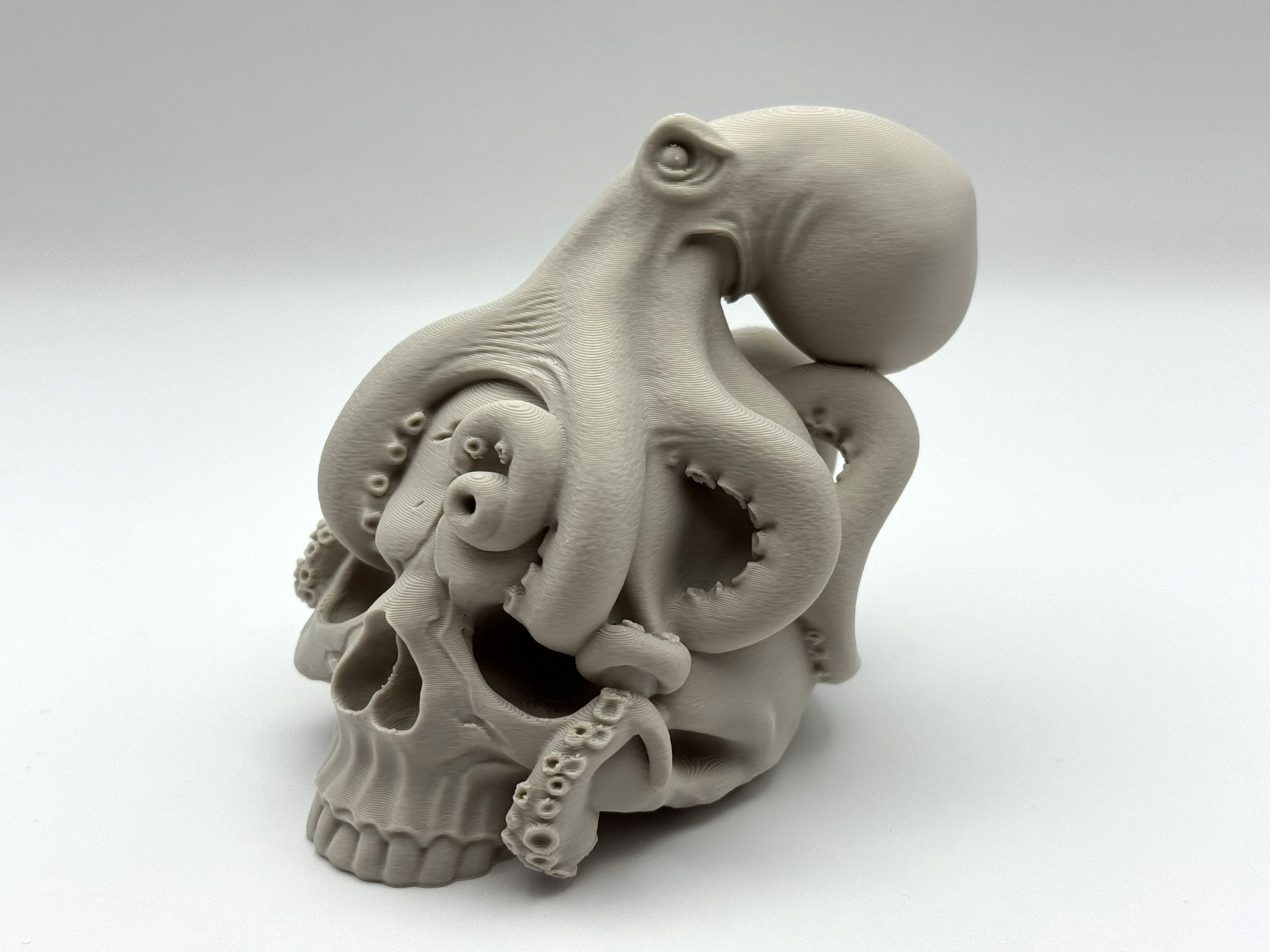 Squid Skull Decor