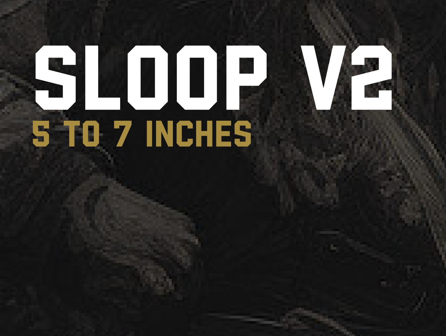 SLOOP V2