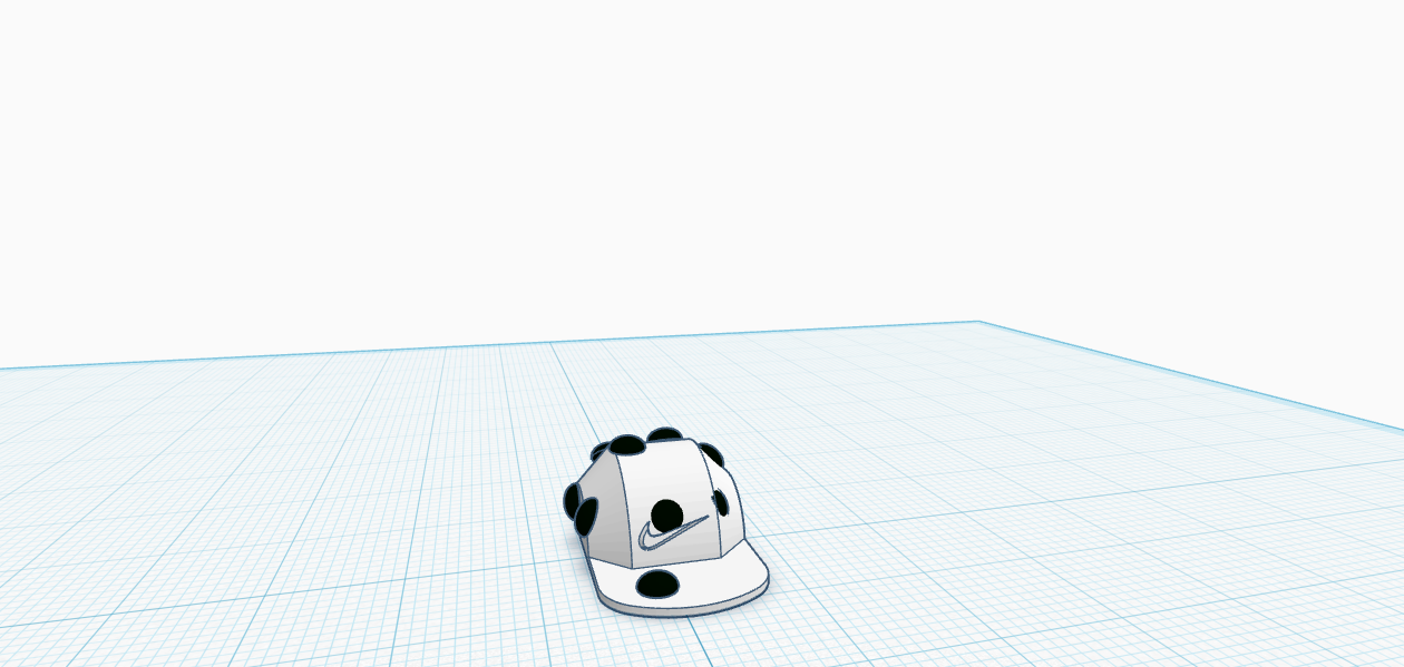 dummy 13 law hat