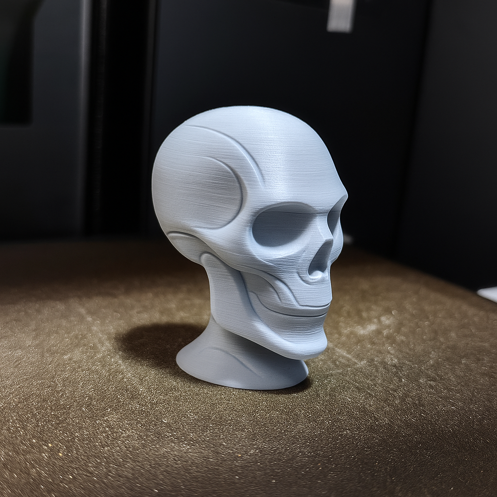 Skull (Home Decor Art)