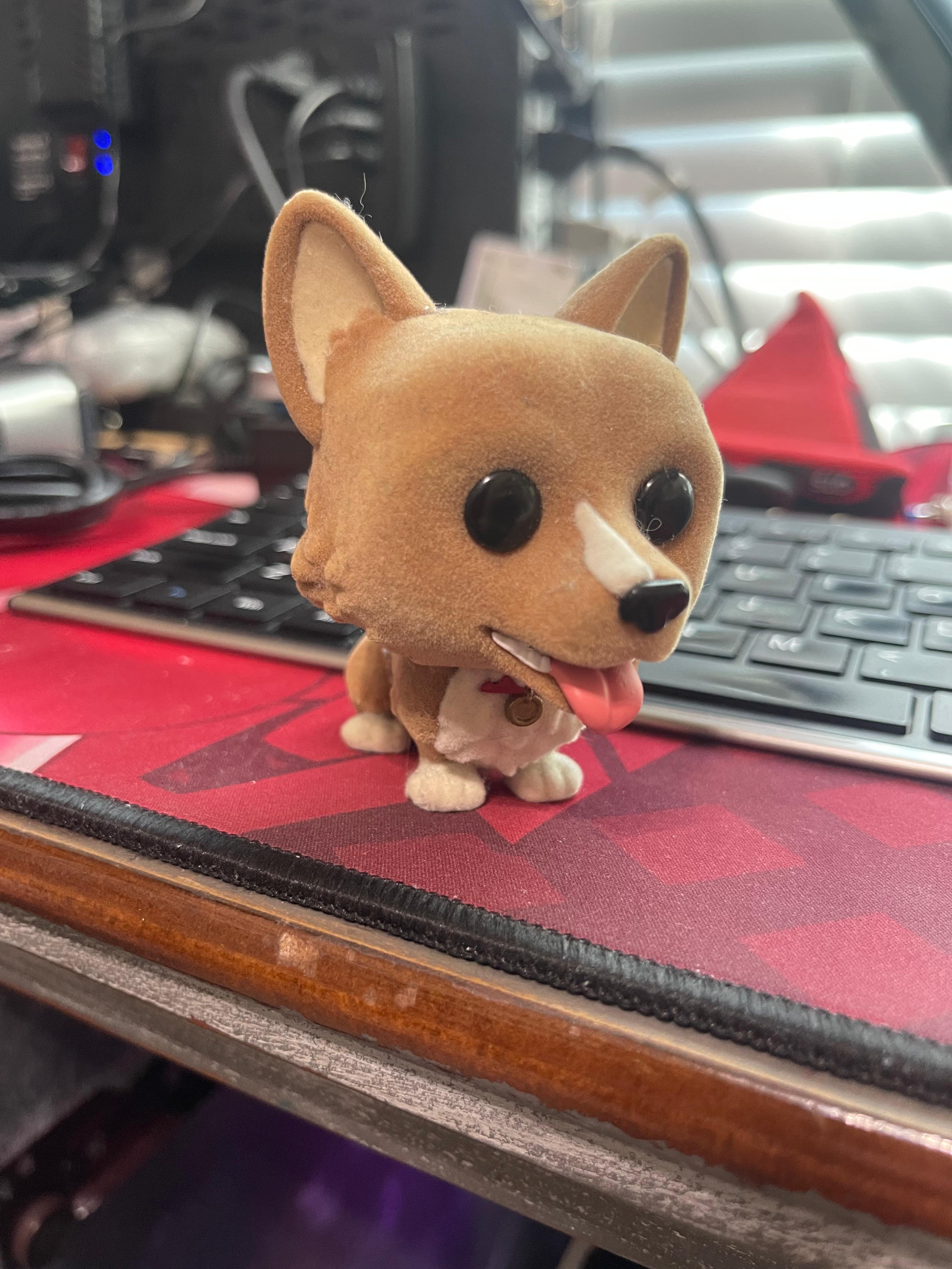 Ein (Cowboy Bebop)