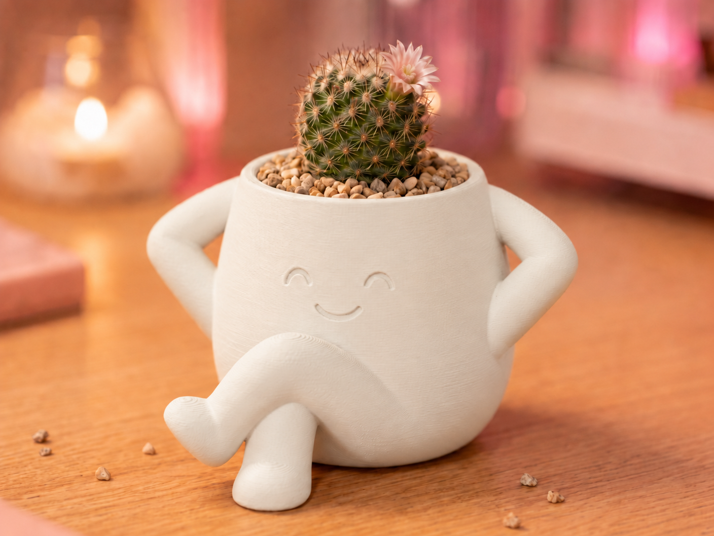 LoungePot Planter - Cute Desk Decor