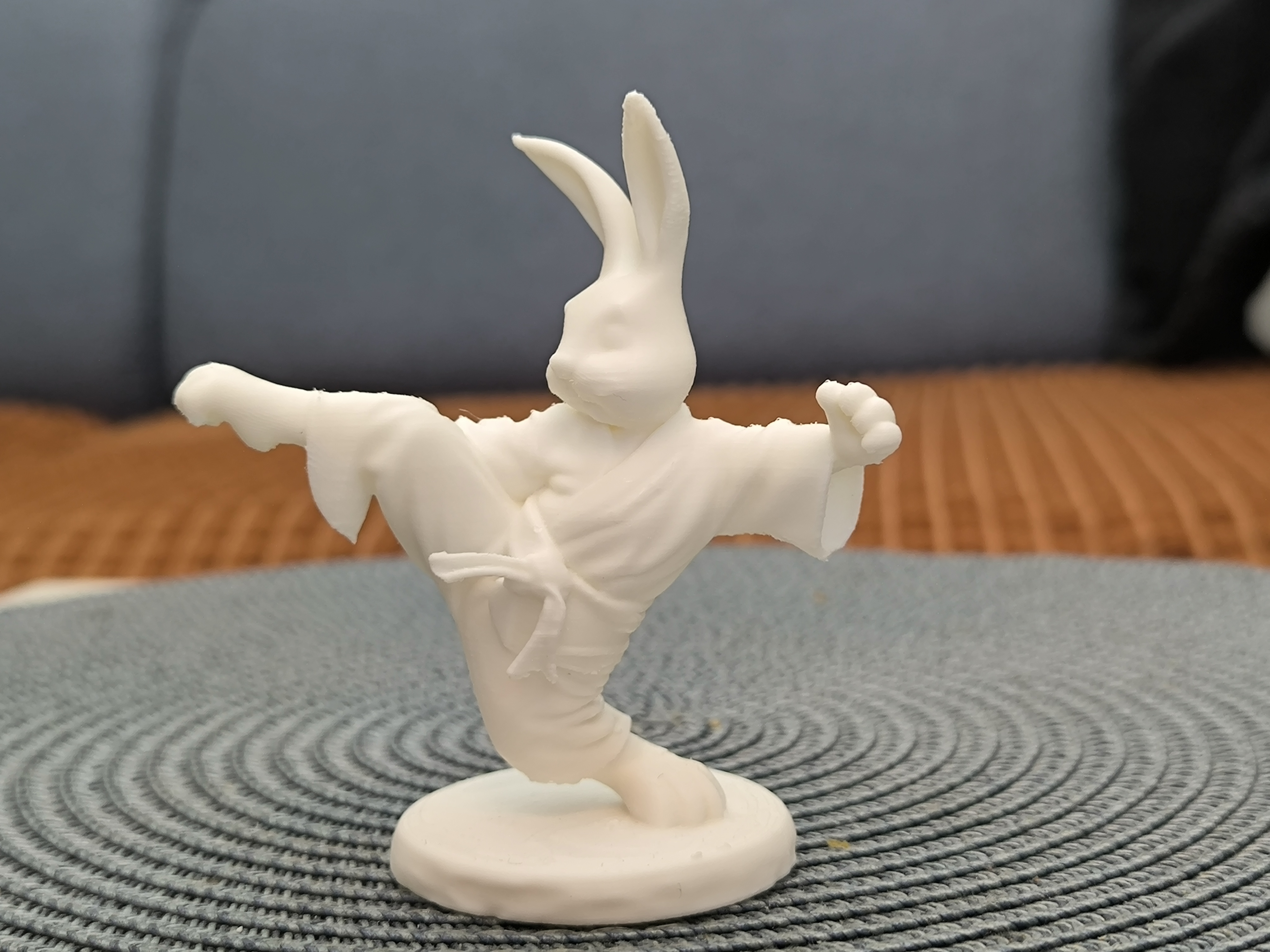 Kung-fu Bunny