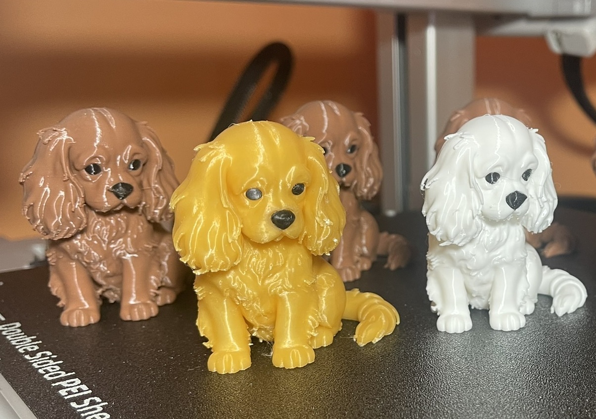 Agnes: The Adorable Cavalier King Charles Spaniel