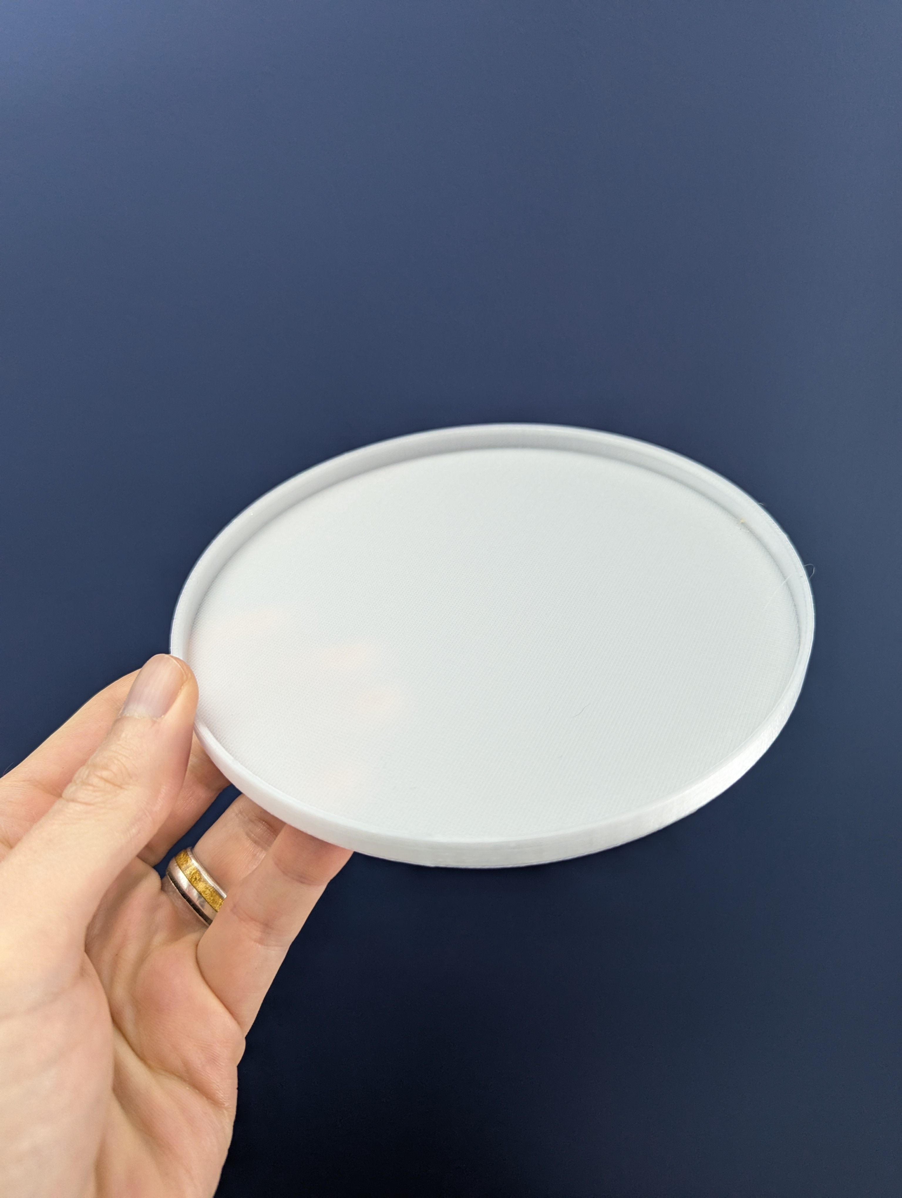 Diffuser for IKEA Ranarp lamp (502.313.24 & 003.313.97)