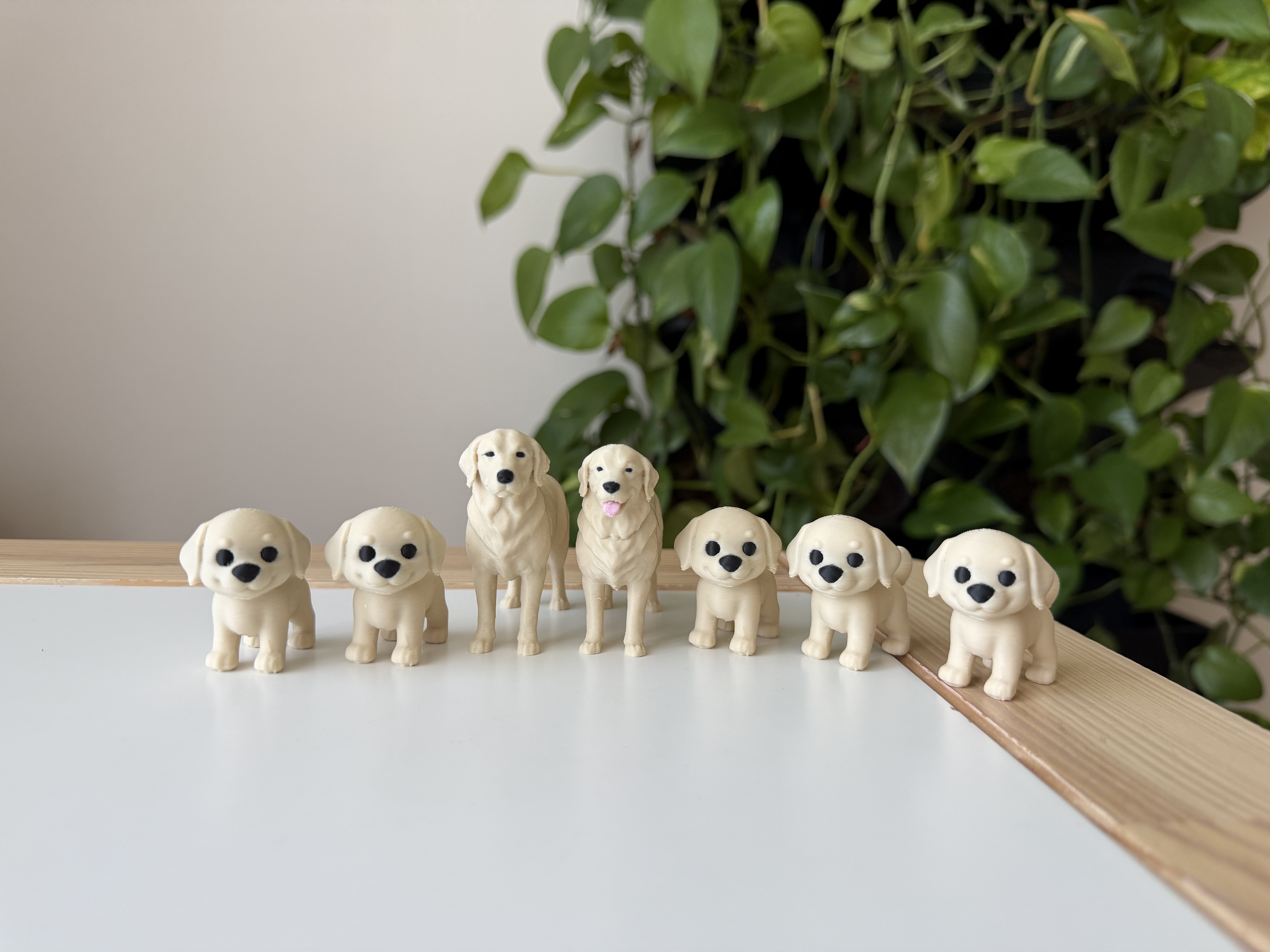 Golden retriever family