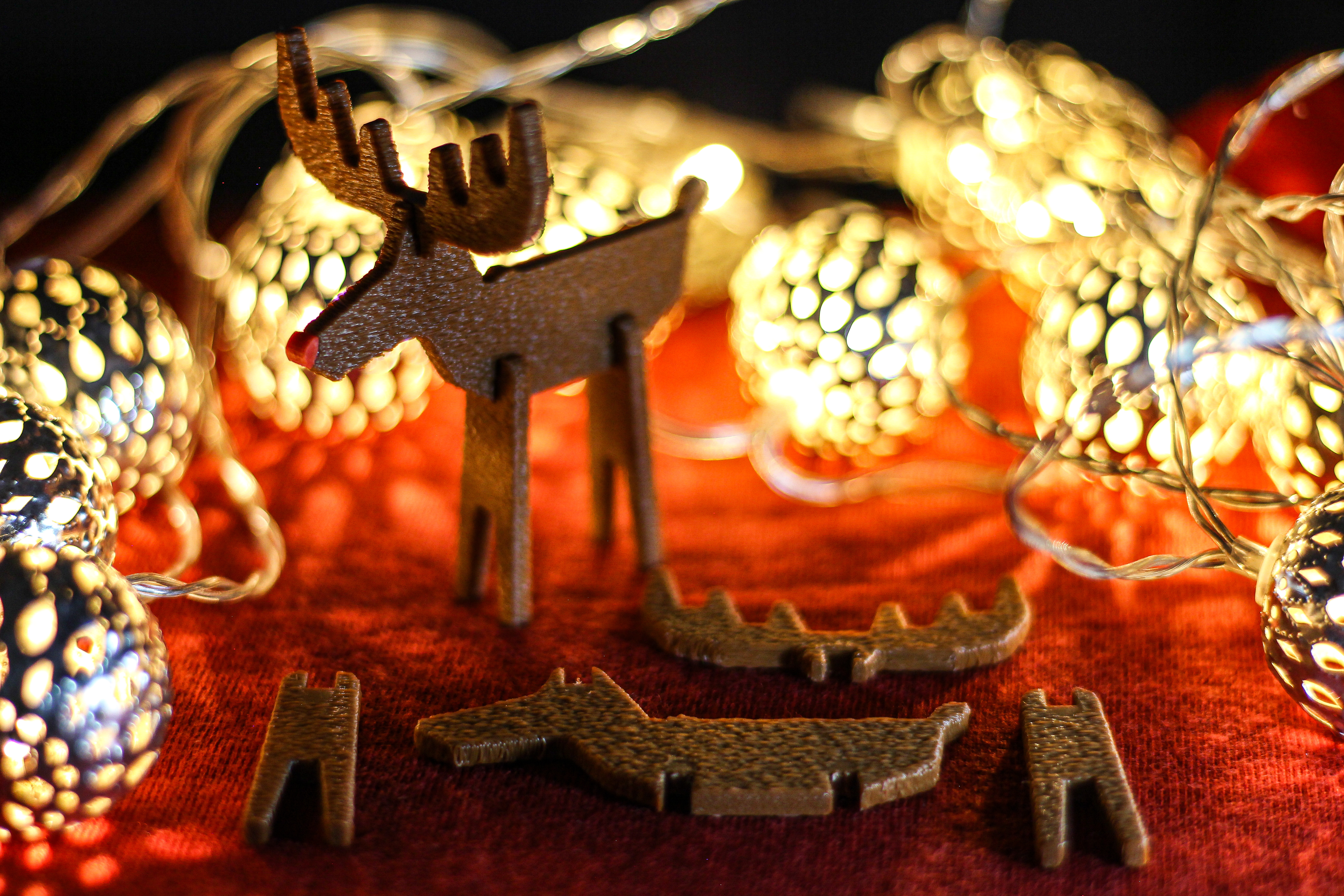 Reindeer & Rudolph — thumbnail 3