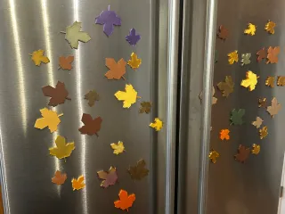 Magnetic Maple Leaves