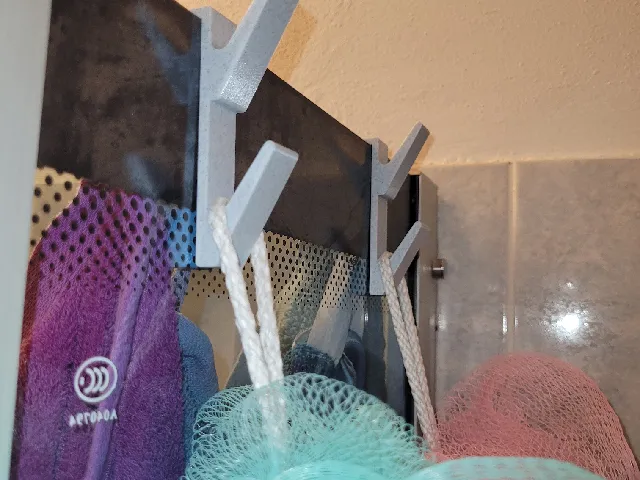 Shower Glass Hook