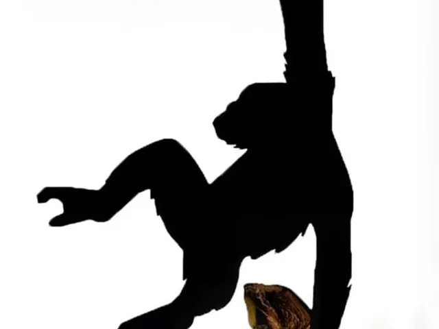 Monkey Banana Hanger that actually works