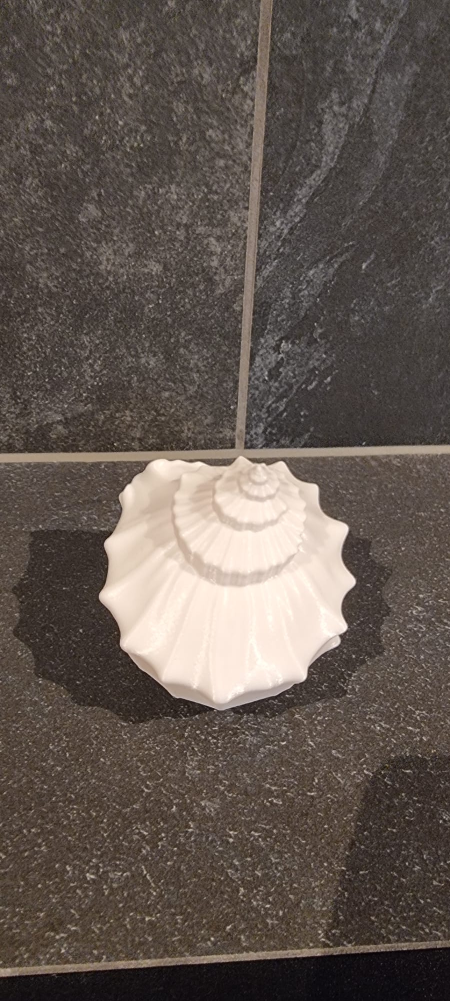 Miniatura 5 do modelo 3D Shell Decor