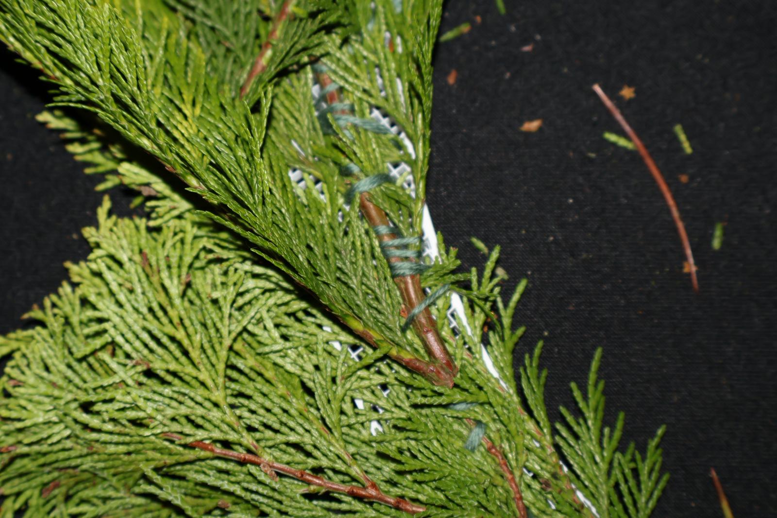 Modular Wreath Backer — miniatura 12