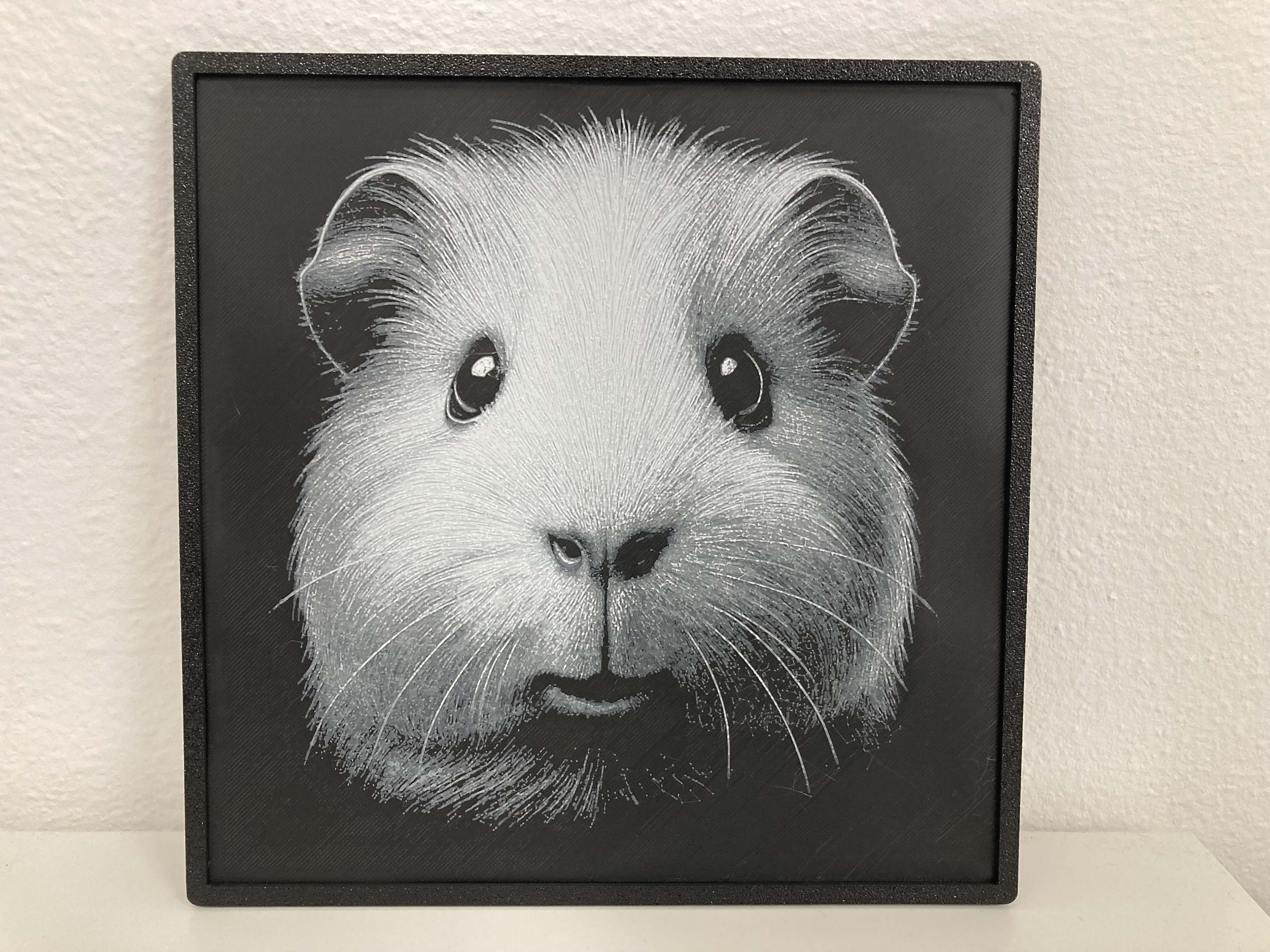 Guinea pig head - HueForge
