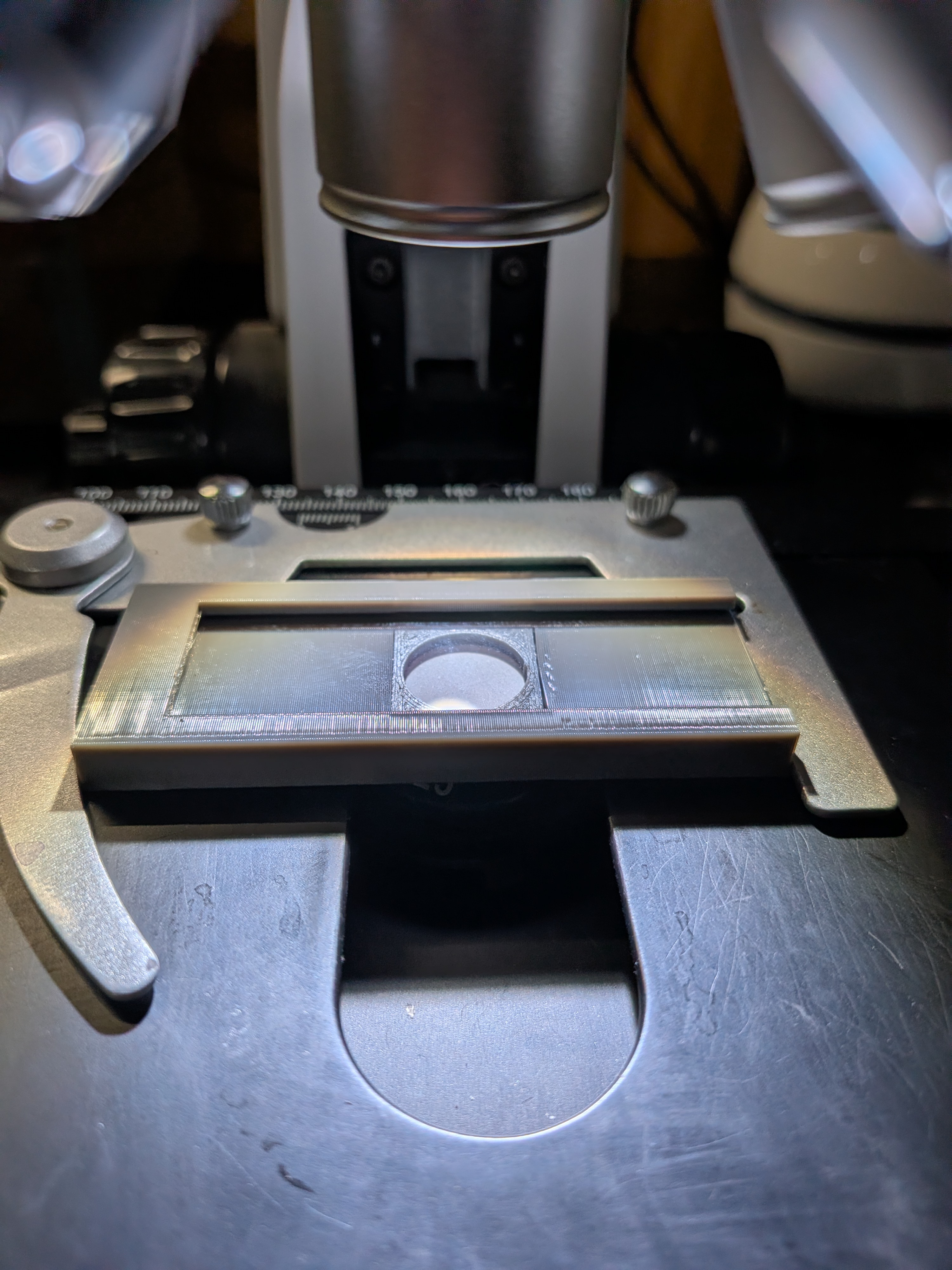 Microscopy Microfossil Slide 3D model