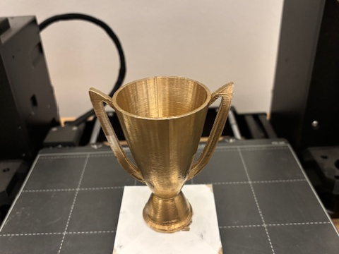 Easily customisable Trophy design