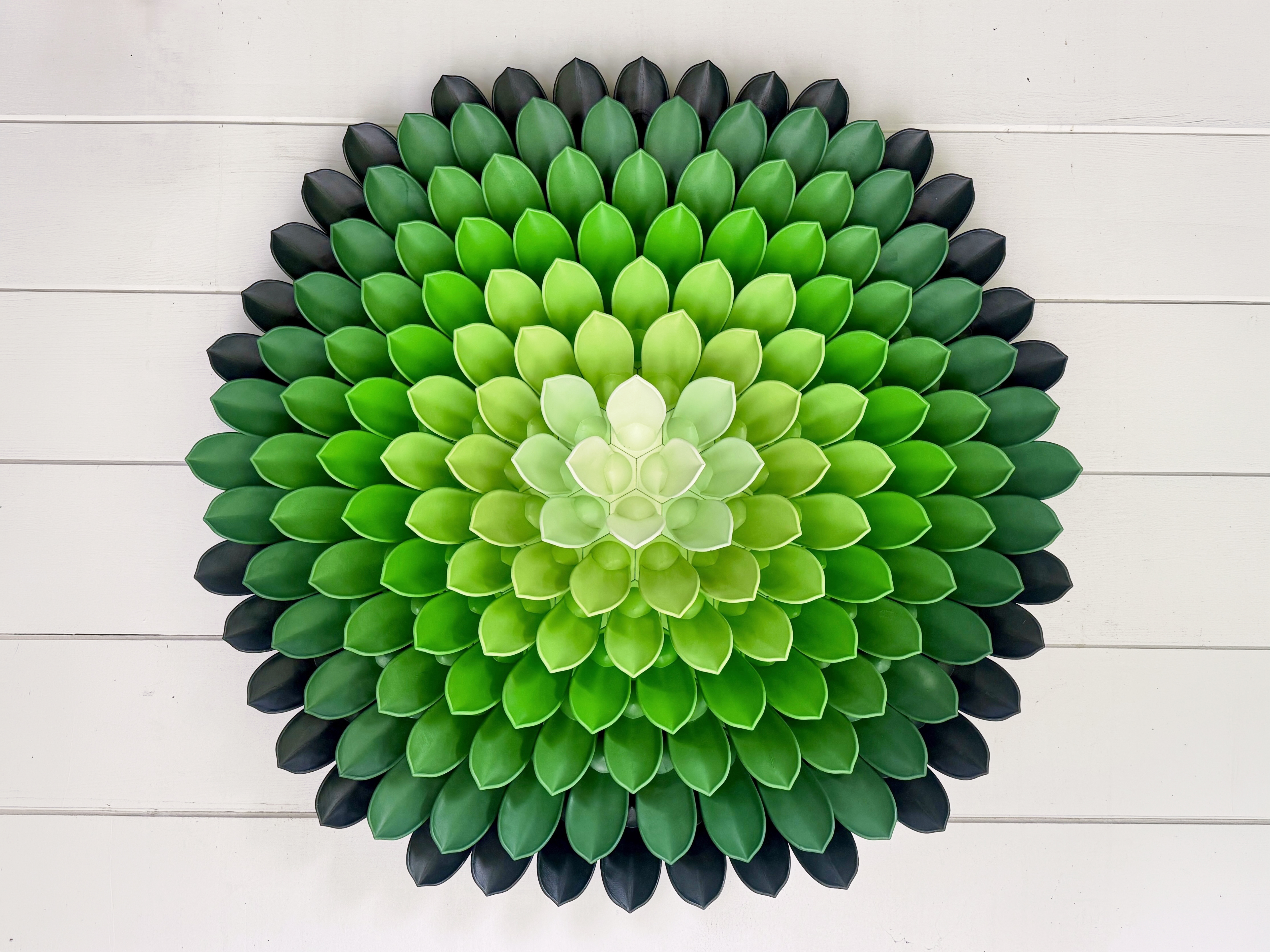 Succulent Wall Art