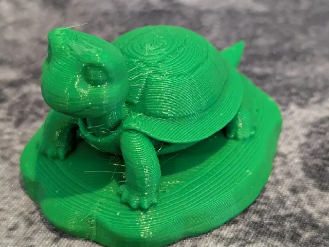 Turtle on a Rock