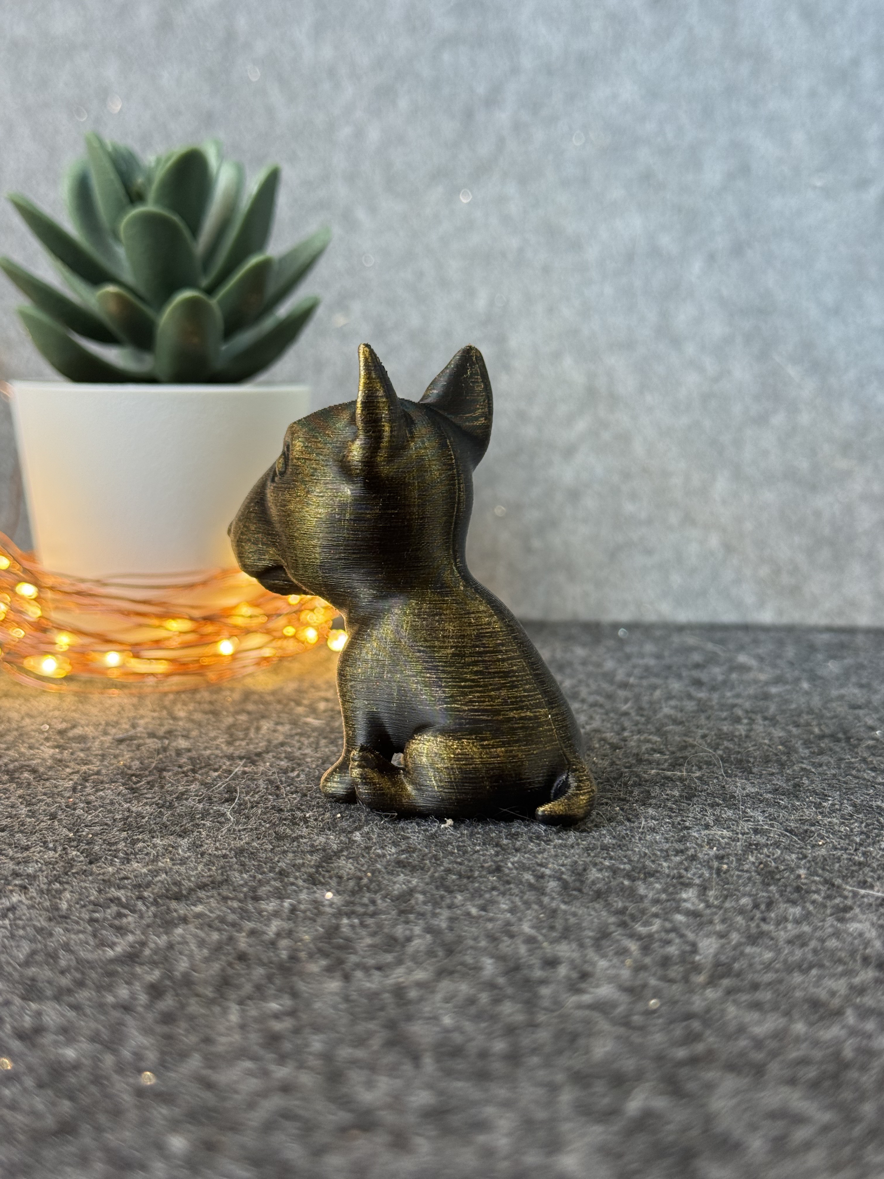 Cute Bull Terrier