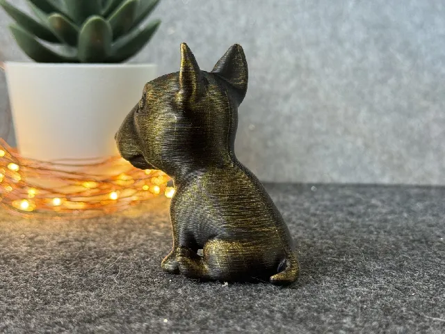 Cute Bull Terrier