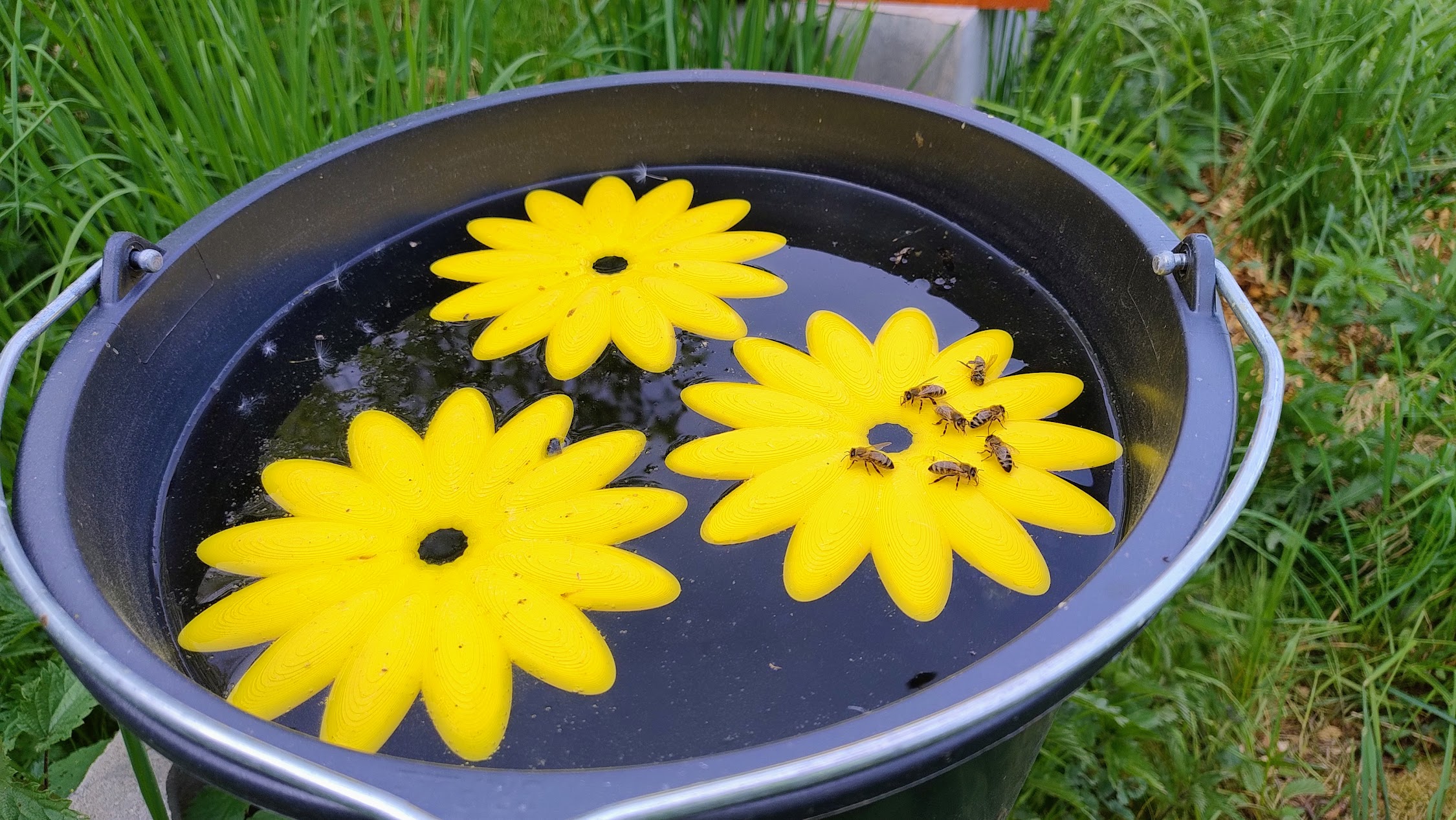 Floating bee-watering pad/Plovoucí napaječka pro včely