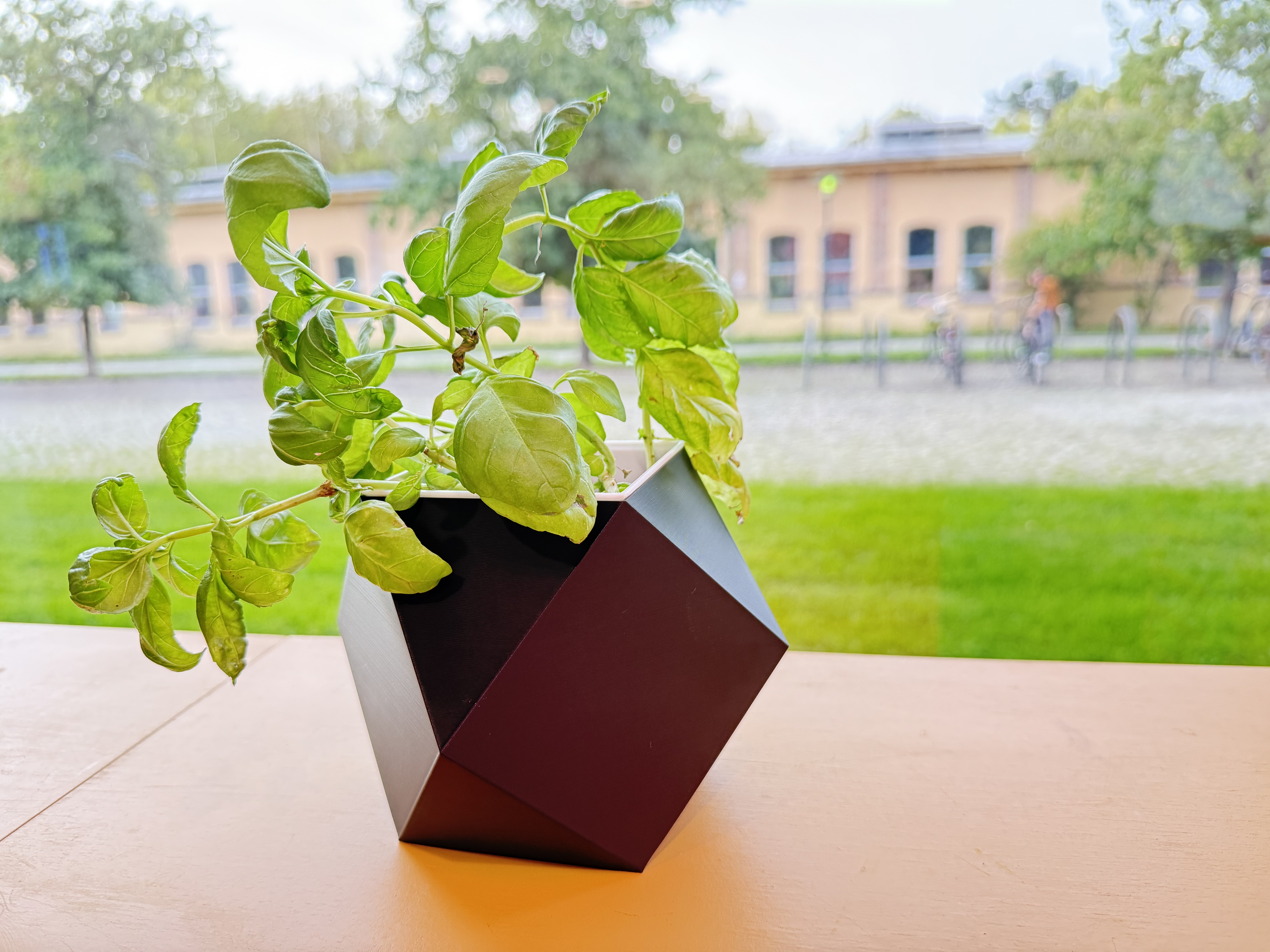 Cuboctahedron Planter