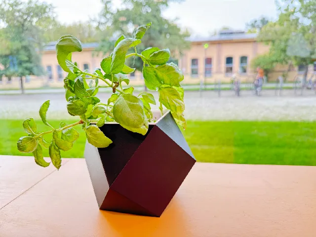 Cuboctahedron Planter
