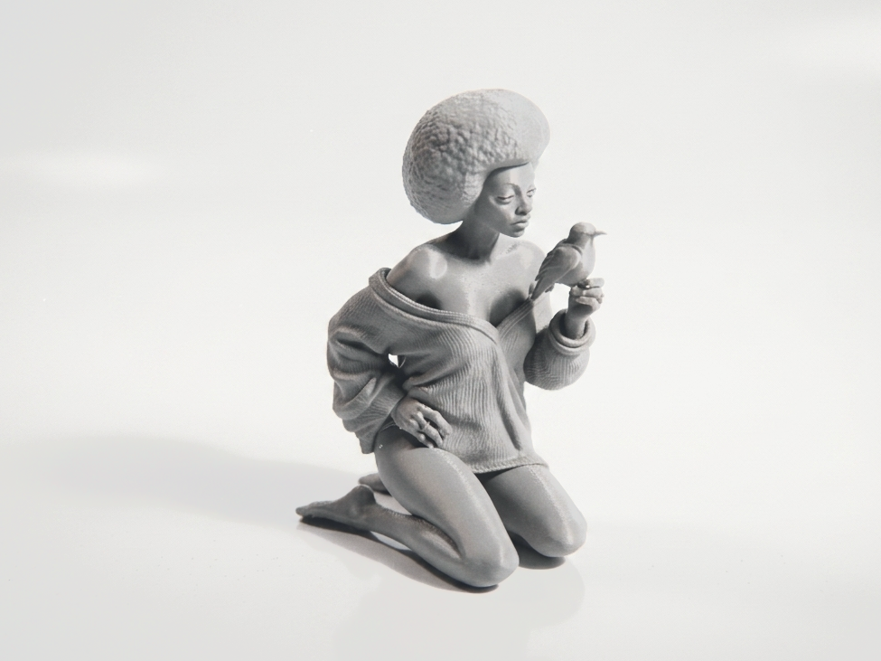Lady Holding Bird Figurine Female Figure 3D Printable