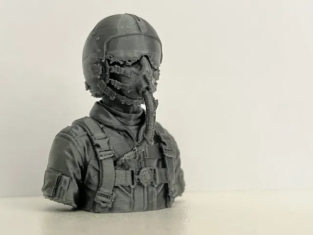 Rc pilot
