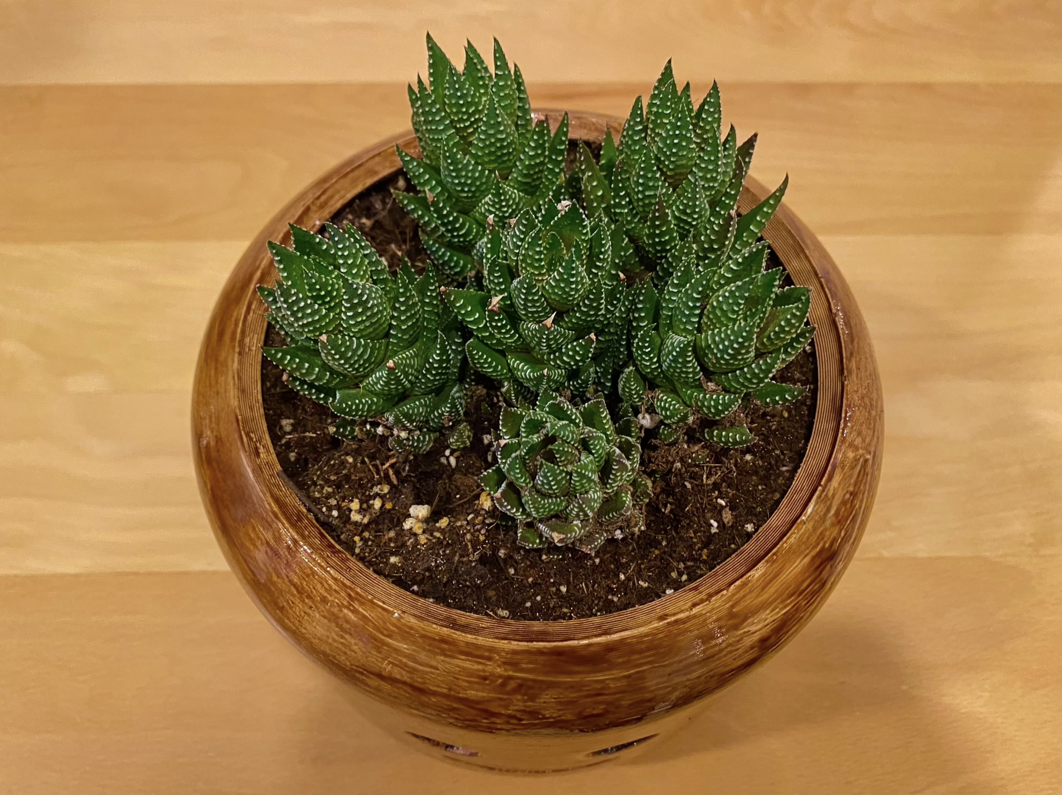 Lego Minifigure Head Pot - Overwatering Protective — miniatura 2
