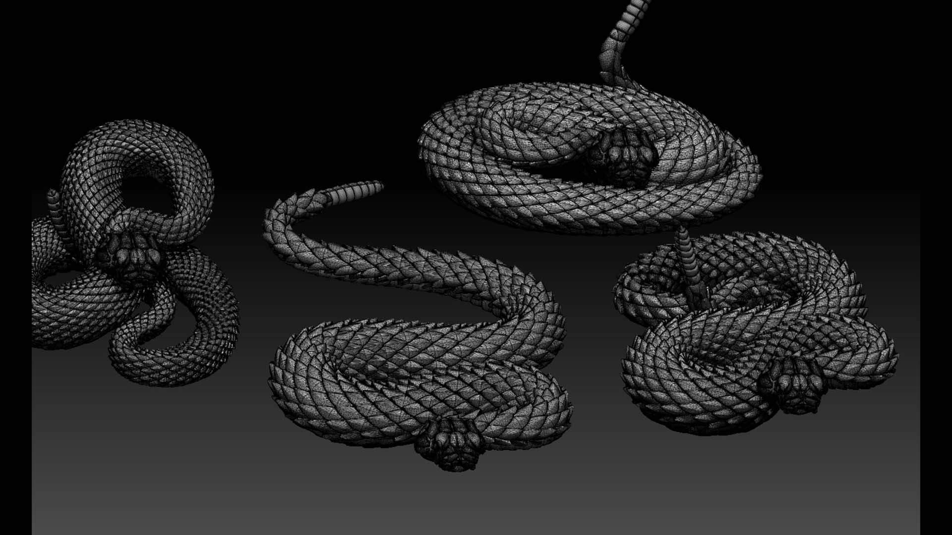 snakes — miniatura 26