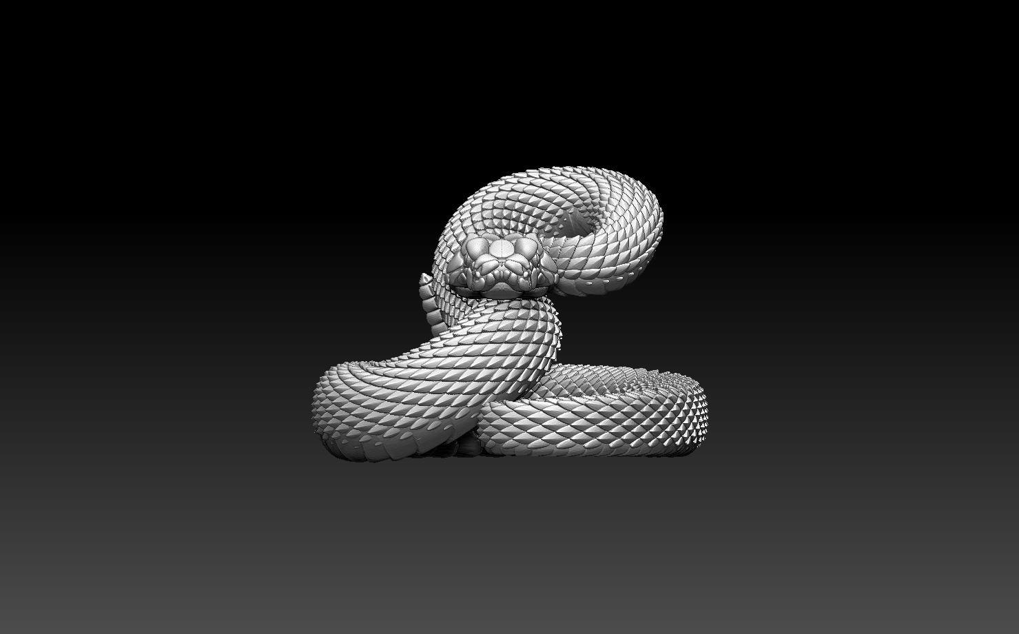snakes — miniatura 5